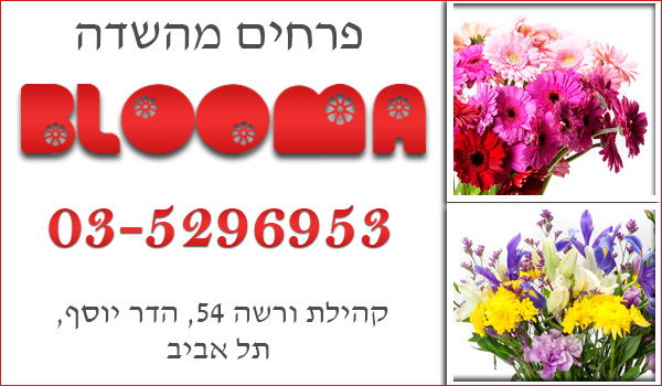 משלוחי פרחים בתל אביב. משלוחי פרחים ברמת גן. משלוחי פרחים בגבעתיים.